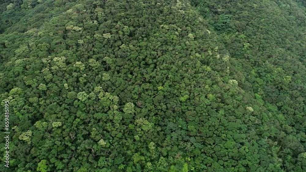 ドローンで撮る奄美, サンゴ礁の島の自然。 ドローンで撮る奄美, サンゴ礁の島の自然。