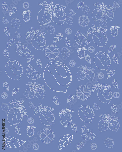 pattern of whole and sliced ​​lemons with white lines and blue background in vector