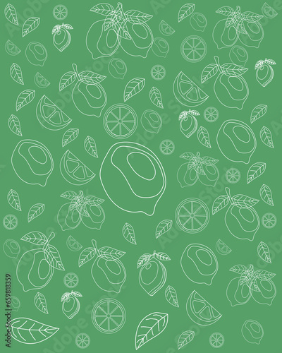 pattern of whole and sliced ​​lemons with white lines and green background in vector