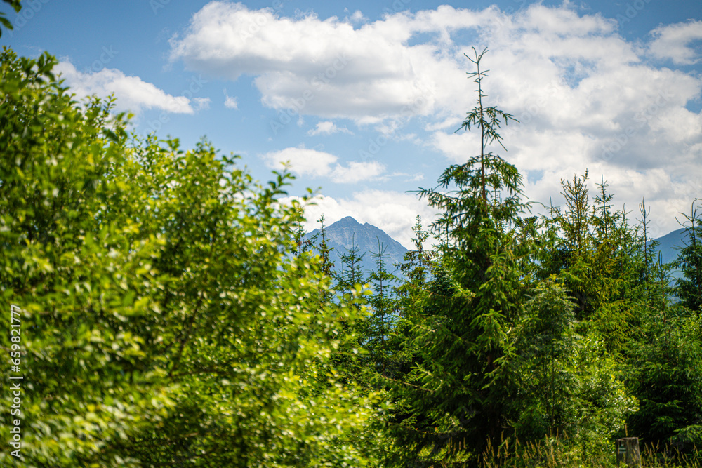 Fototapeta premium Scenic views from the heart of the Tatra Mountains, featuring the enchanting Polana Rusinowa, the picturesque Gęsia Szyja, and the breathtaking Hala Gąsienicowa. Explore the serene beauty.