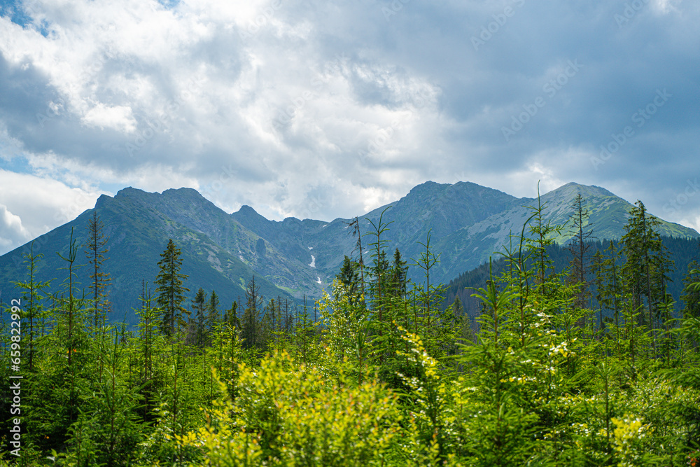 Fototapeta premium Scenic views from the heart of the Tatra Mountains, featuring the enchanting Polana Rusinowa, the picturesque Gęsia Szyja, and the breathtaking Hala Gąsienicowa. Explore the serene beauty.