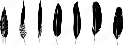 Set of hand drawn bird feat...
