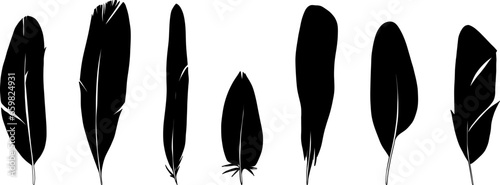 Set of hand drawn bird feat...