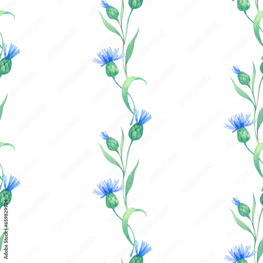Cornflowers. seamless watercolor pattern with blue flowers. Watercolor illustration for fabric, textile, wrapping and wallpaper