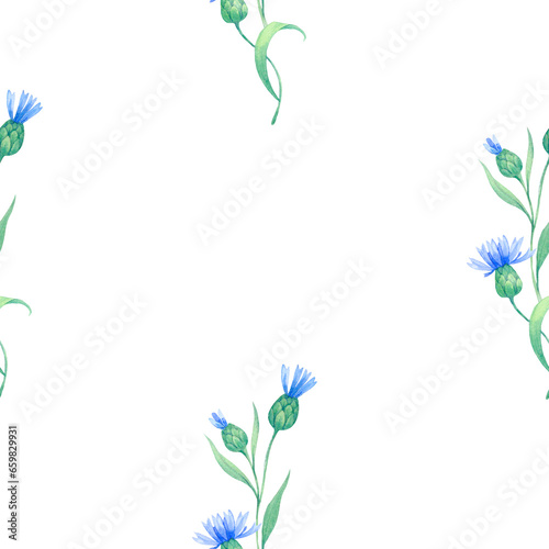 Cornflowers. seamless watercolor pattern with blue flowers. Watercolor illustration for fabric  textile  wrapping and wallpaper