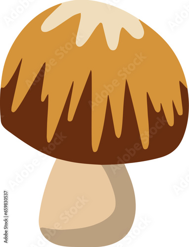 Cottagecore Mushroom Magic