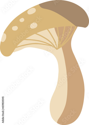 Cottagecore Mushroom Magic