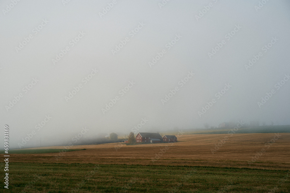 Fototapeta premium misty countryside in fall
