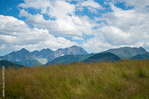 Scenic views from the heart of the Tatra Mountains  featuring the enchanting Polana Rusinowa  the picturesque G  sia Szyja  and the breathtaking Hala G  sienicowa. Explore the serene beauty.
