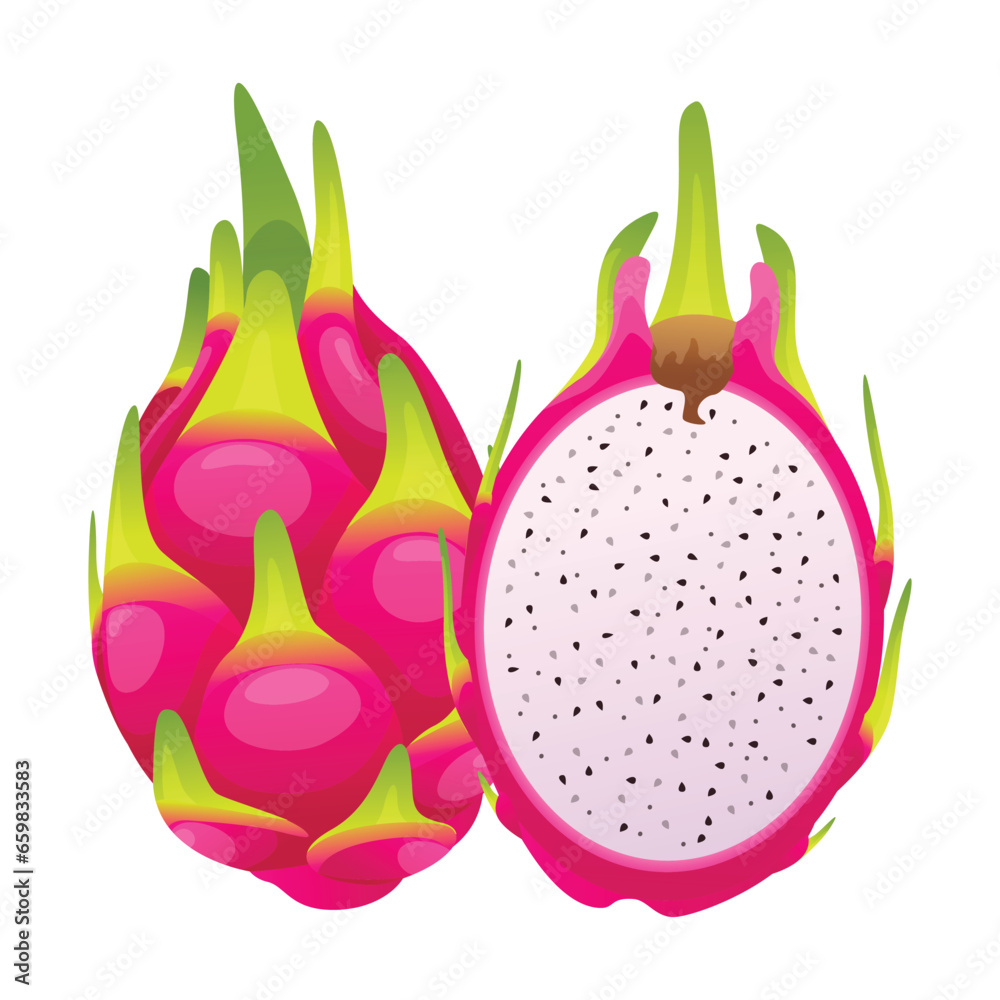 Dragon fruit whole and half cut. Vector illustration isolated on white background Dragon fruit whole and half cut. Vector illustration isolated on white background