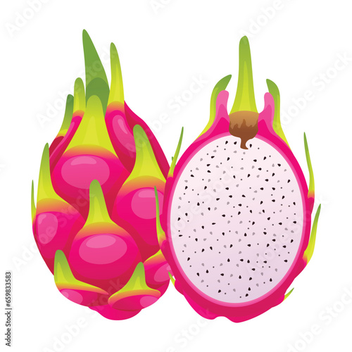 Dragon fruit whole and half cut. Vector illustration isolated on white background