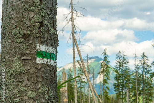 Explore marked trails in the Tatra Mountains, through Rusinowa Glade, Goose Neck, and Gąsienicowa Hall. Discover lush meadows and stunning landscapes in the heart of Polish peaks.