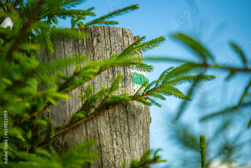 Explore marked trails in the Tatra Mountains, through Rusinowa Glade, Goose Neck, and Gąsienicowa Hall. Discover lush meadows and stunning landscapes in the heart of Polish peaks.