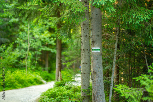 Explore marked trails in the Tatra Mountains, through Rusinowa Glade, Goose Neck, and Gąsienicowa Hall. Discover lush meadows and stunning landscapes in the heart of Polish peaks.