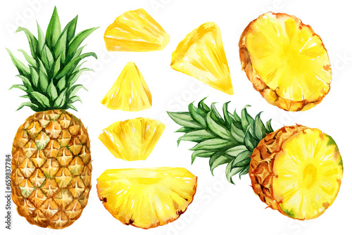 watercolor hand drawn illustration, set of pineapple with half and slices ripe pineapple, triangular pieces of pineapple, sketch of tropical fruit, food illustration isolated on watercolor background