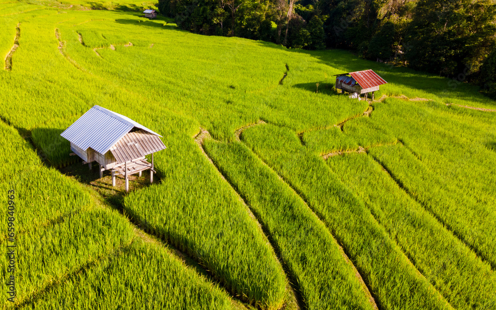 Terraced Rice Field in Chiangmai during the green rain season, Thailand. Royal Project Khun Pae Northern Thailand. Drone aerial view Terraced Rice Field in Chiangmai during the green rain season, Thailand. Royal Project Khun Pae Northern Thailand. Drone aerial view