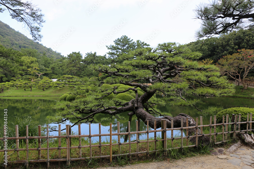 晩夏の栗林公園の庭