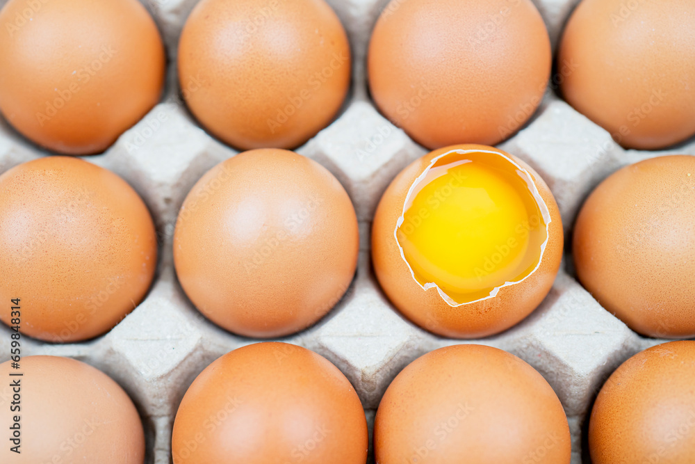 chicken egg broken with yolk chicken egg broken with yolk