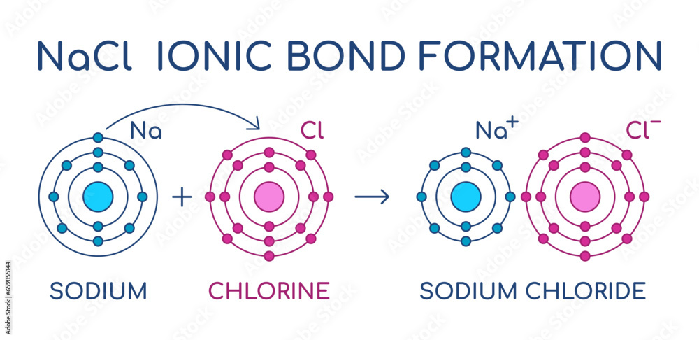 Sodium Chloride ionic bond formation. NaCl structure. Sodium and Chlorine atom chemical reaction. Electron transfer. Electrostatic attraction force. Table salt crystal lattice. Vector illustration. 