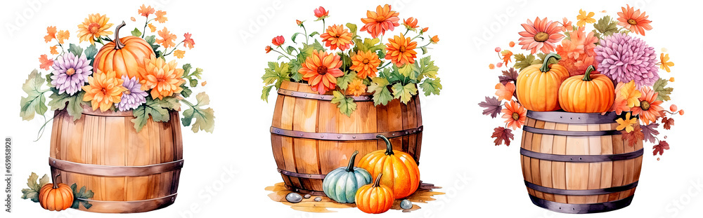 Obraz premium Set of watercolor pumpkin and flowers grow in a wooden barrel, isolated on transparent background