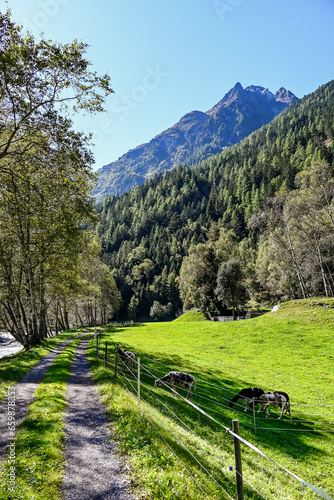 Längenfeld, Ötztaler Ache, Fluss, Uferweg, Ötztal, Wanderweg, Tal, Tirol, Berge, Wald, Landwirtschaft, Sölden, Herbst, Spätsommer, Österreich photo