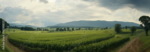 A breathtaking rainy season vista with lush corn fields stretching endlessly