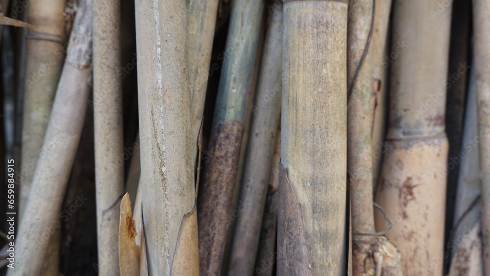 Bamboo in the wall of the old house, Indonesia. Background.