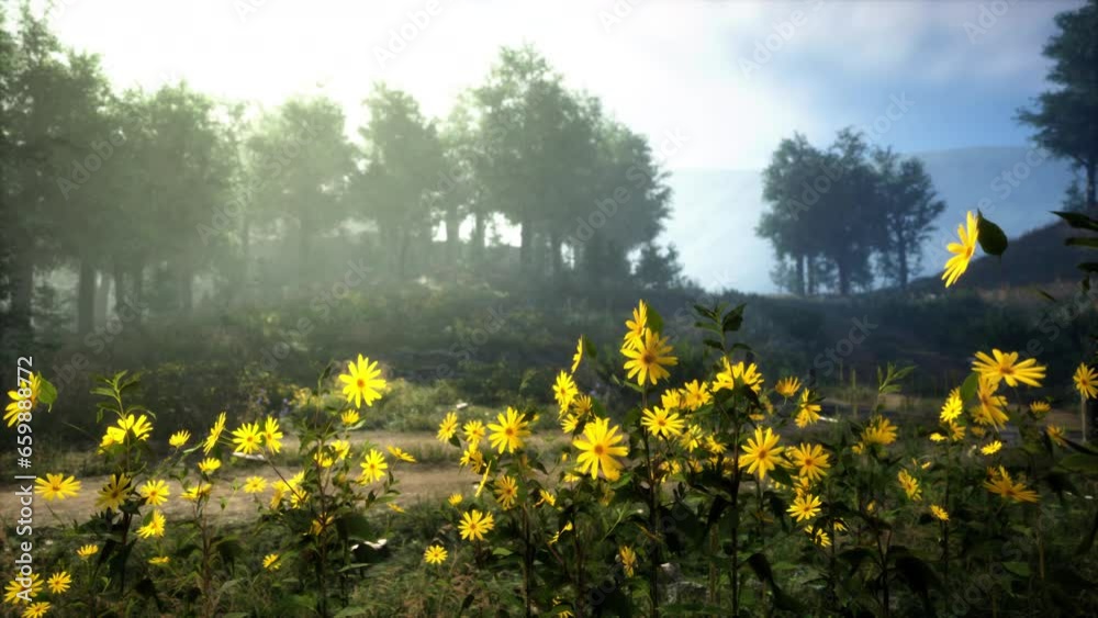 A field of yellow flowers with trees in the background A field of yellow flowers with trees in the background