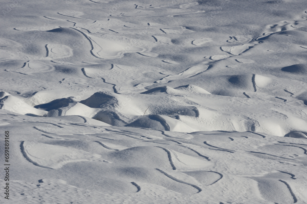 Fototapeta premium Snow in the Alps - Winter scene