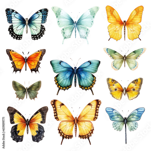 Butterflies. 2 Separated elements. PNG. AI © lucja_lusilas.pl