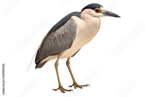 Night Heron Silhouette on transparent background