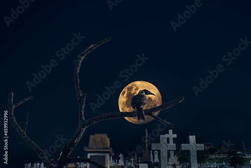 Halloween illustration with a Noisy Friarbird (Philemon corniculatus) roosting on a dead tree branch against a full moon and a graveyard in the background. photo