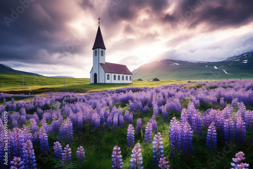 Icelandic church surrounded by lupines at sunset © Creative Clicks