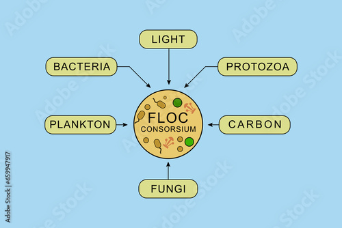 infographics of the components that make up biofloc consortium, which consist of plankton, bacteria, fungi, carbon, light, protozoa