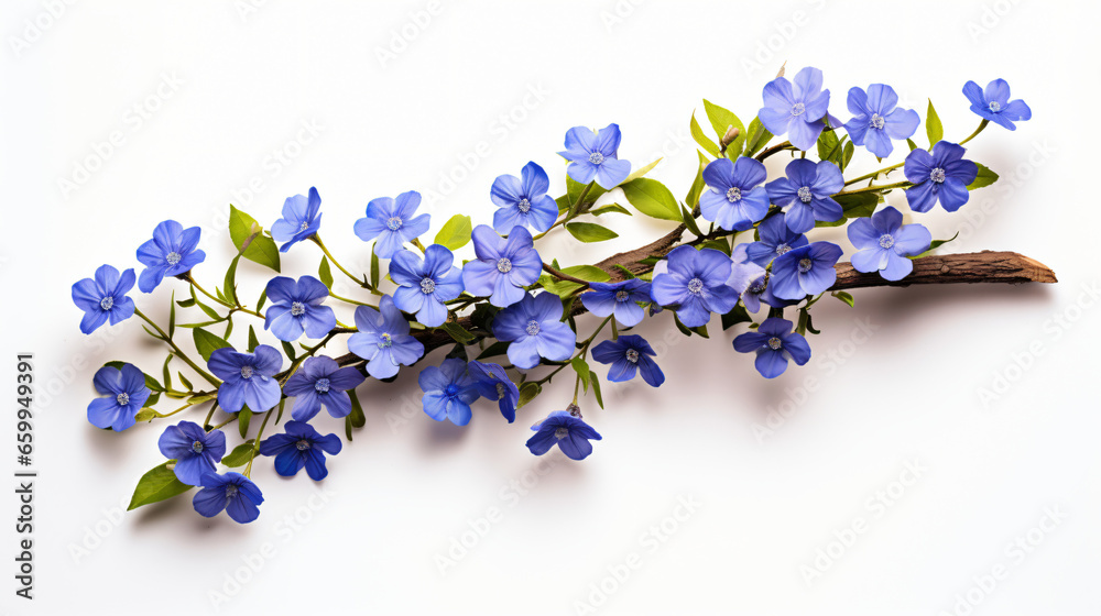 Periwinkle Flower Bouquet of blue wild flowers