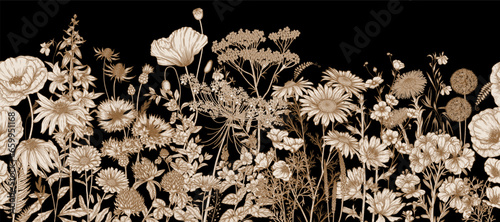 Seamless horizontal pattern of wildflowers and plants. Chamomile, clover, chicory, poppy, cornflower, bells, periwinkle, buttercup, veronica, calendula, echinacea in engraving style