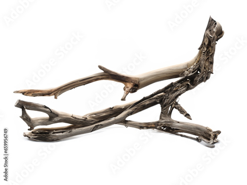 dead tree branch isolated on white background