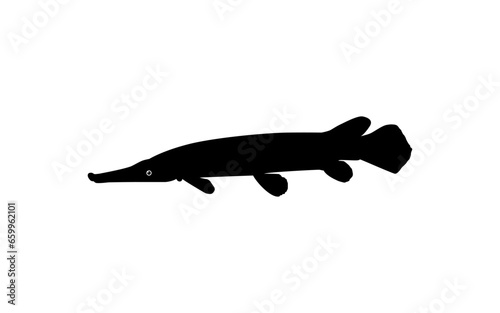 Alligator Fish Silhouette, can use for Art Illustration Logo Gram, Pictogram, Website, or Graphic Design Element. Vector Illustration
