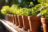 a row of ceramic plant pots in sunlight