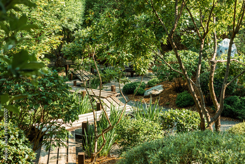 Landscape design based on plants of the middle belt of Russia, garden design in the Japanese style. Japanese garden concept made of willow trees.