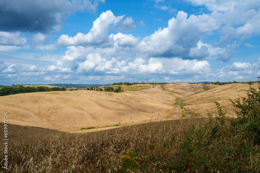 Rural landscape in Val d Orcia, Tuscany, at summer Rural landscape in Val d Orcia, Tuscany, at summer