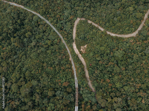 fotografia cenital de una riel de tren y un camino de autos cercanos en medio de un bosque de arboles