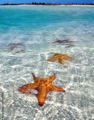 Canvas Print Praia de Cayo Largo, Cuba