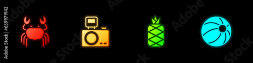 Set Crab, Photo camera with flash, Pineapple and Beach ball icon. Vector