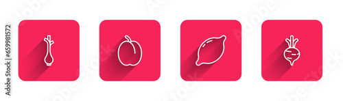 Set line Fresh green onions, Plum fruit, Lemon and Beet with long shadow. Red square button. Vector