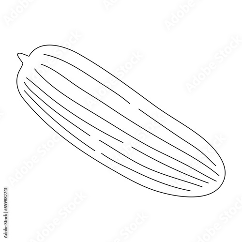 Cucumber doodle icon. Hand drawn black sketch. Vector editable stroke. © New Vectors