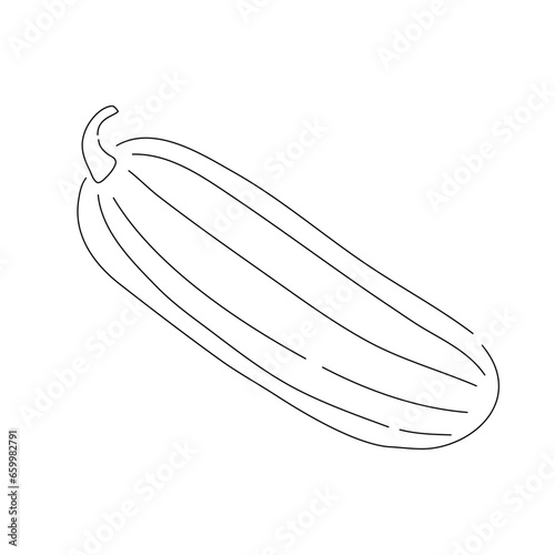 Hand-drawn black sketch of a cucumber. Doodle-style icon. Vector editable stroke. © New Vectors