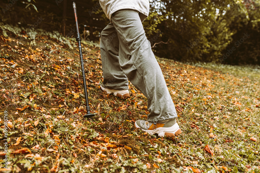 Nordic Walking in Autumn forest, hiking teenage girl Nordic Walking in Autumn forest, hiking teenage girl