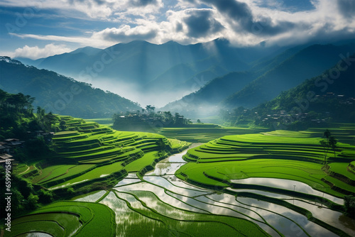 views of vast expanses of rice fields