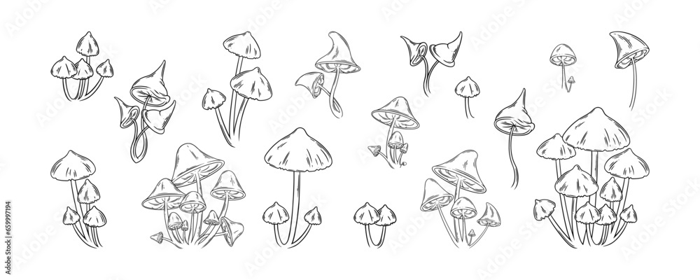 Forest mushrooms set. Psychedelic and edible mushrooms for nature aesthetics designs. Vector illustration isolated in white background